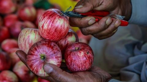 apples