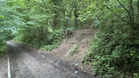 The entrance to the quarry site. A narrow dirt path is seen with a break in the trees, leading to another small path up to the quarry.