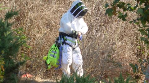 A person wearing a protective suit and face shield stands in dry vegetation beside trees and shrubs, carrying safety equipment in a rural outdoor area.