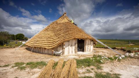 A replica Neolithic hall being constructed on Salisbury Plain. A volunteer, wearing high vis lies at the top of a long ladder thatching the roof.