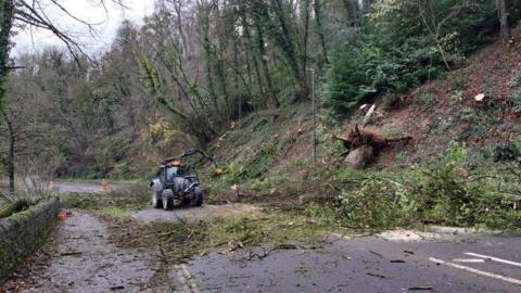 Vehicle cutting trees along the A6 in Derbyshire between the junction at Cromford and Matlock Bath with cuttings on the road.
