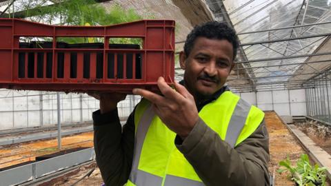 A man wearing a high-viz jacket looks at the camera, holding a box of plants