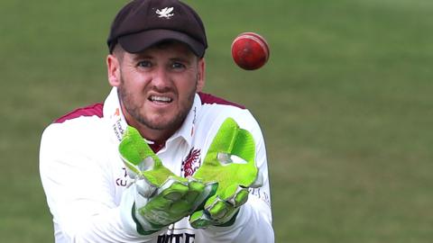 Somerset wicketkeeper-batsman Steven Davies