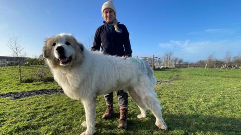 Brody looking to the left of the camera. He is a large, fluffy dog with floppy ears.  His mouth is slightly open which makes it look like he is smiling. Lauren Pickthall is standing behind him with her hands on his back. She is wearing a cream beanie hat, a dark fleece, grey trousers and brown walking boots. She has blonde, long hair tied in a ponytail and is smiling into the camera. They are standing in a field which has a few small trees. Houses can be seen in the background and the sky is blue with very few clouds.