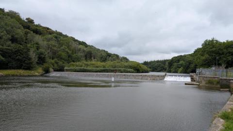 Lopwell Dam near Plymouth. Water is flowing in the dam. Green trees surround the dam.