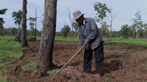 Rice farmer