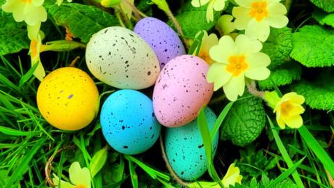 Small different coloured speckled eggs grouped together in a clump of soft yellow primroses