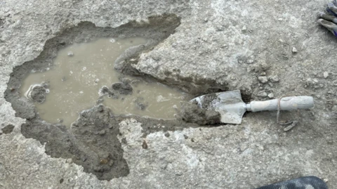A Megalosaurus print which was also found at the quarry