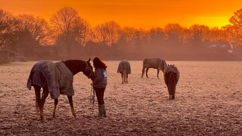 A misty field at dawn with frost on the ground. A women is holding a horse in the foreground with three other horses in the field. They are all wearing rugs. The sky is glowing orange as the sun rises.