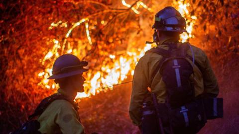Two firefighters stand in front of burning vegetation
