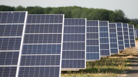 A general view of a solar farm. Rows of solar panels are placed in a field at a 45 degree angle. 