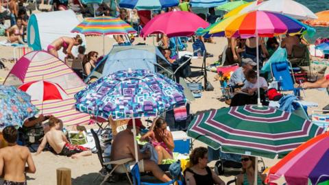 Beach umbrellas