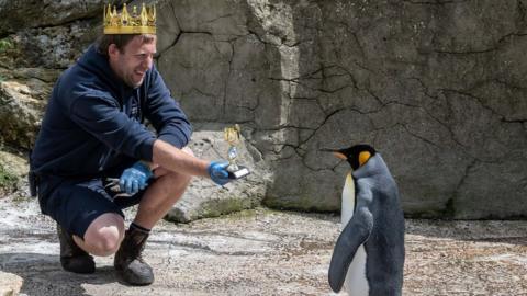 Head keeper Alistair Keen handing Spike the penguin his trophy