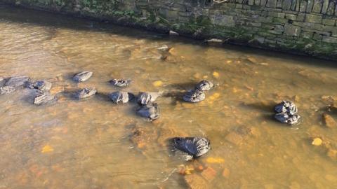 Flytipping River Sheaf