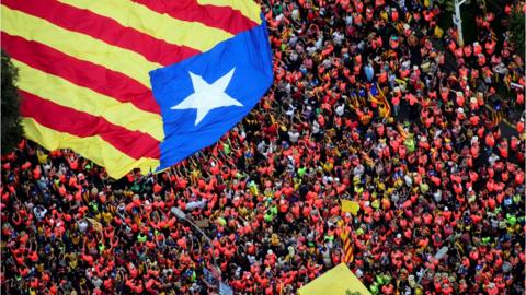 Protestors hold giant Catalonia flag overhead.