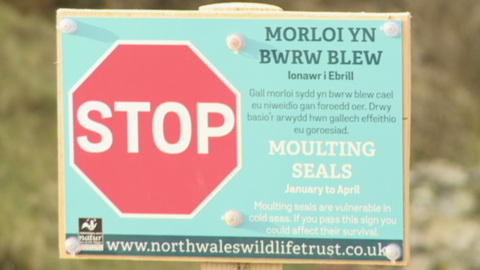 Stop sign - moulting seals