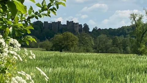 A field of grass is in the foreground with trees and a castle behind, coverer with a light blue sky with white clouds