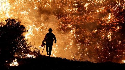 A firefighter works as the Caldor Fire burns in Grizzly Flats, California, USA, 22 August 2021