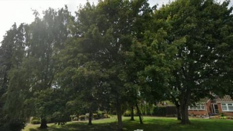 Mature trees on residential land