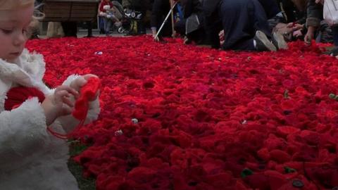 Poppies at Old Eldon Square