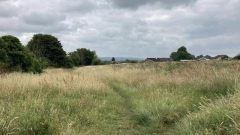 A children's home and 74 homes could be built on Packsaddle Fields, in Frome, Somerset, if plans are approved