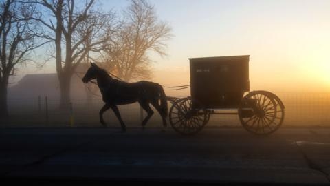 Amish buggy (file photo)