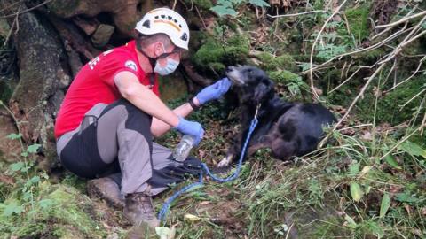 A member of the Cleveland Mountain Rescue Team soothes the casualty's dog