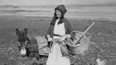 Women collecting cockles in Penclawdd on the Gower Peninsula