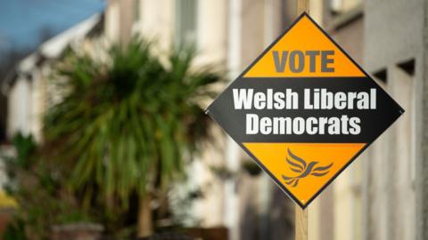 lib dems