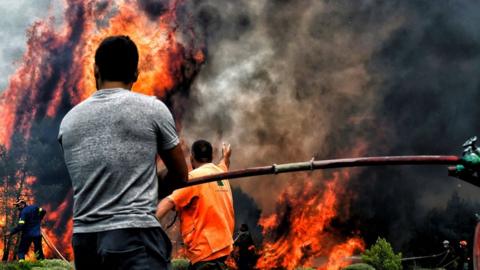 Firefighters and volunteers try to extinguish flames during a wildfire at the village of Kineta, near Athens, on 24 July 2018