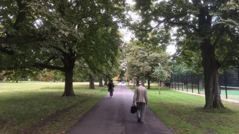 Trees in Tooting Common