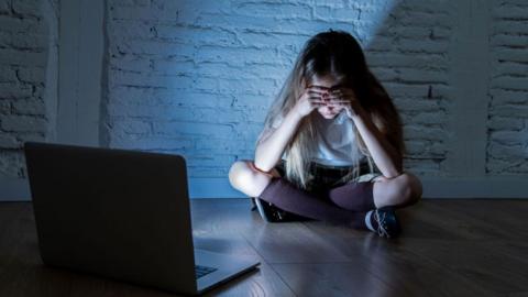 Girl with her head in her hands in front of a laptop (stock image)