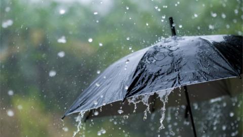 An umbrella shielding heavy rainfall