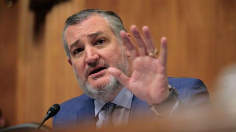 US Senator Ted Cruz raises his left hand in front of him as he's seated behind a small microphone while speaking. He wears a blue suit and light blue shirt and tie.