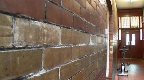 Salt crystals forming on the wall of the hostel