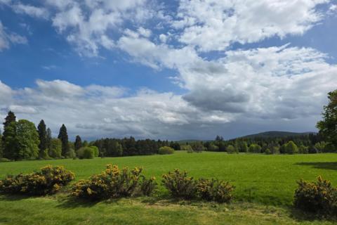 A green countryside field beneath a cloudy blue sky in Aboyne, Aberdeenshire