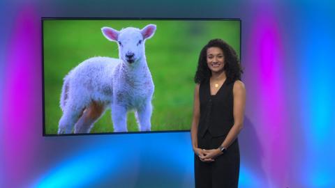 Nina on the Newsround set