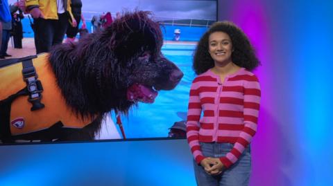 Nina in the studio with a dog in the screen
