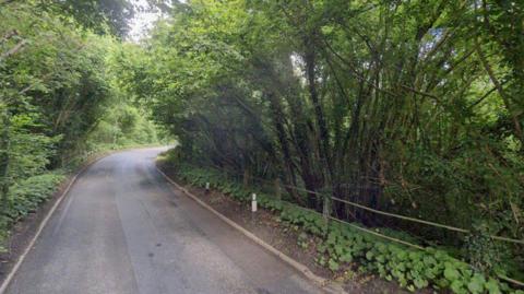 The image shows a road surrounded by trees, with sunlight peaking through the green leaves and branches.