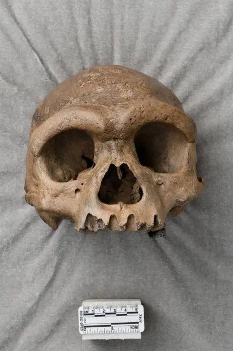 The ancient fossil is thought to be more than 146,000 years old