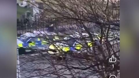 A tree obscures a view of two police cars - a man who was hit by one of the cars can be seen flying over the top of the vehicle