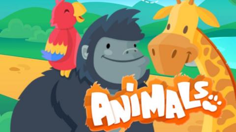 Animals topic promo image