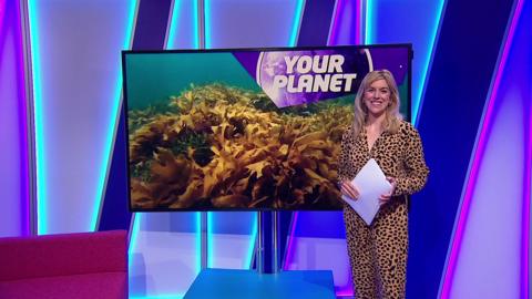 Jenny on the Newsround set