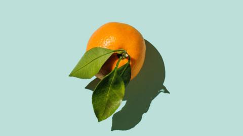 An aerial image of a small orange with a leaf coming out of the top of it.