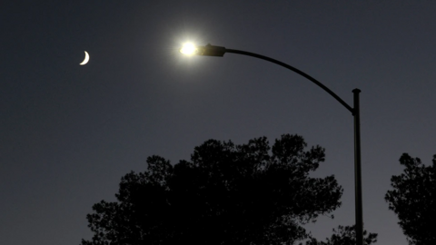 A generic picture of a street light with trees surrounding it and the moon shining in the sky above it 