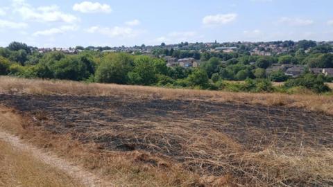 A blackened and burnt area of a wildlife meadow, trees and housing in the background