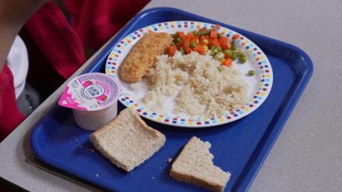 A blue tray with a child's school dinner on it - there is a plate with rice, breaded fish and a vegetable medley. Two pieces of bread and a yoghurt are next to it.