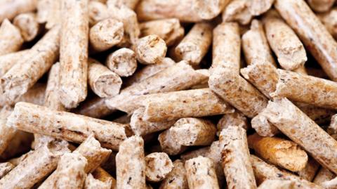 A close up of a pile of wood pellets