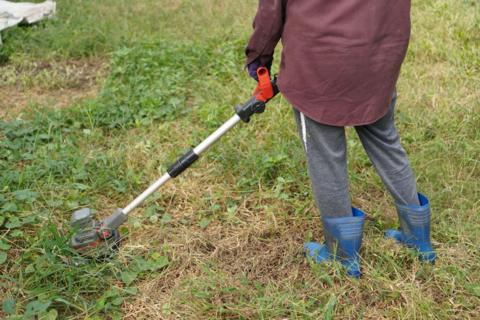 A person trimming a garden