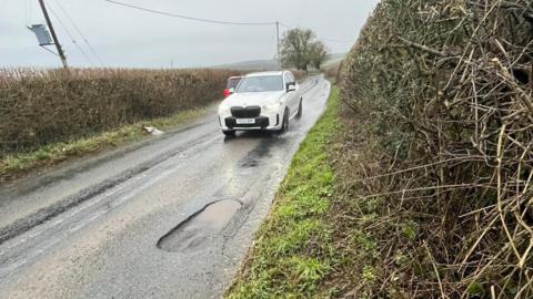 A white car is driving towards a pothole on a country lane. There are tall, well-trimmed hedgerows on either side